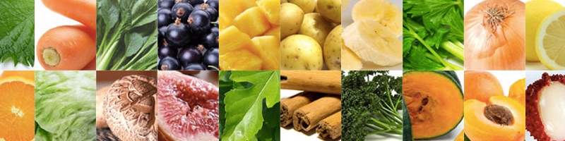 1�H�u�������̂��߂̃X���[�W�[�u�T�v���V�G�C�g�i�`�������X���[�W�[�v���T�C�g